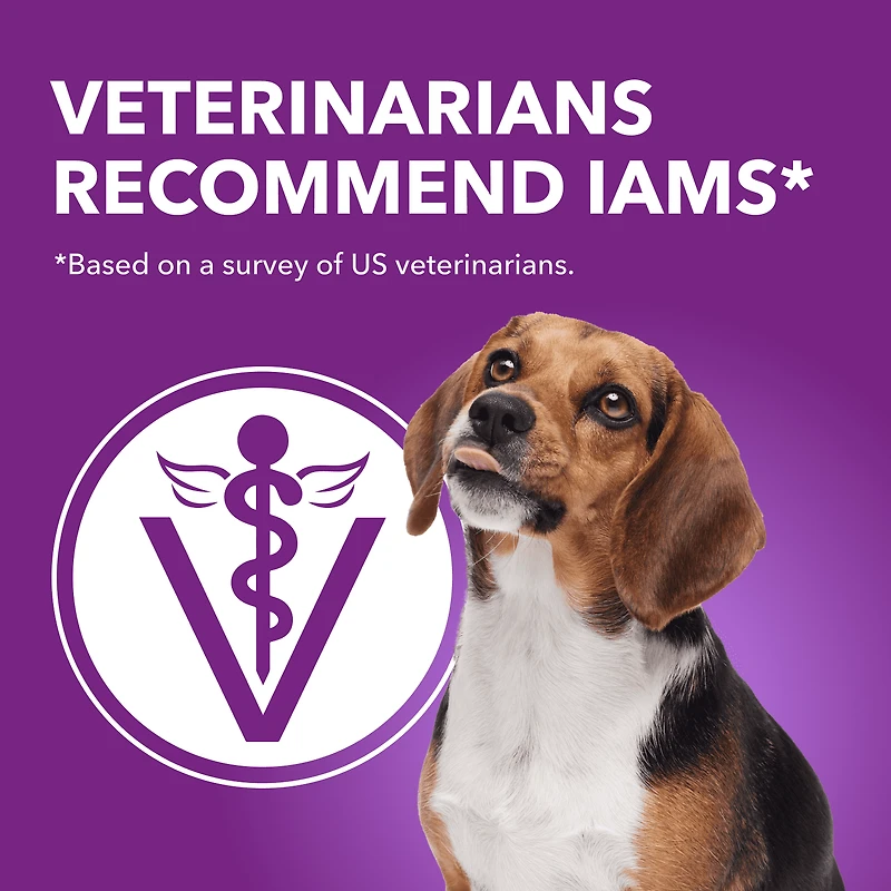 Iams Advanced Health Peau et Pelage Poulet et Saumon Adulte Nourriture Sèche pour Chiens 10kg