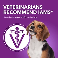 Iams Advanced Health Peau et Pelage Poulet et Saumon Adulte Nourriture Sèche pour Chiens 10kg