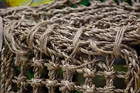 Penn Plax Natural Lizard Lounger Hammock