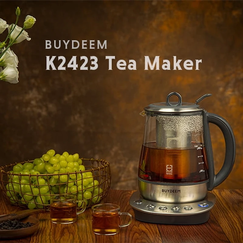 BUYDEEM K2423 Théière, Bouilloire Électrique Durable en Acier Inoxydable 316 et Verre Allemand Schott, Infuseur Amovible, Maintien Automatique au Chaud, Sans BPA, 1,2L