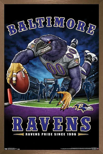 NFL Baltimore Ravens - End Zone 17 Wall Poster, 14.725" x 22.375"
