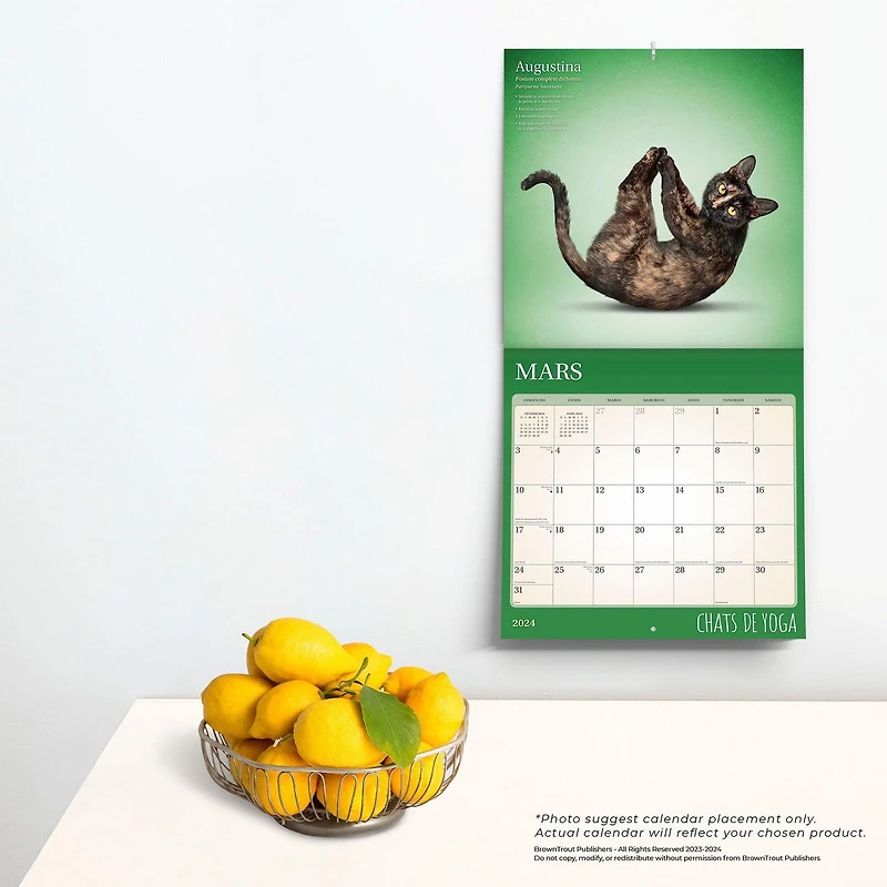 BrownTrout Yoga Cats OFFICIAL 2024 12x24 Inch Square Wall Calendar, 9781975470487