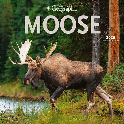 Moose 2026 Square Wyman