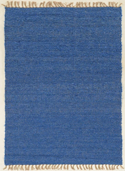 Verginia Berber Blue 1 ft. 10 in. x 2 ft. 10 in. Accent Rug