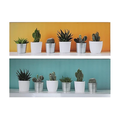 Art Mural De Toile (Succulentes) (Asstd) - Ensemble De 2