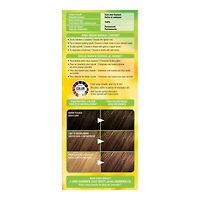 Garnier Nutrisse Ultra Crème, Permanent Hair Dye, Long-Lasting,1 unit