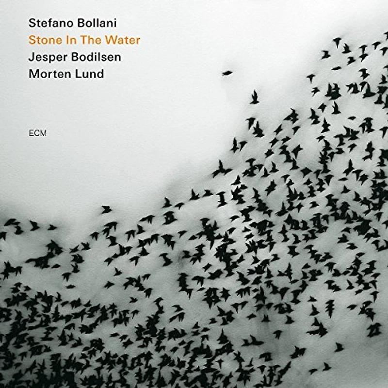 Stefano Bollani - Stone In The Water