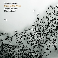 Stefano Bollani - Stone In The Water