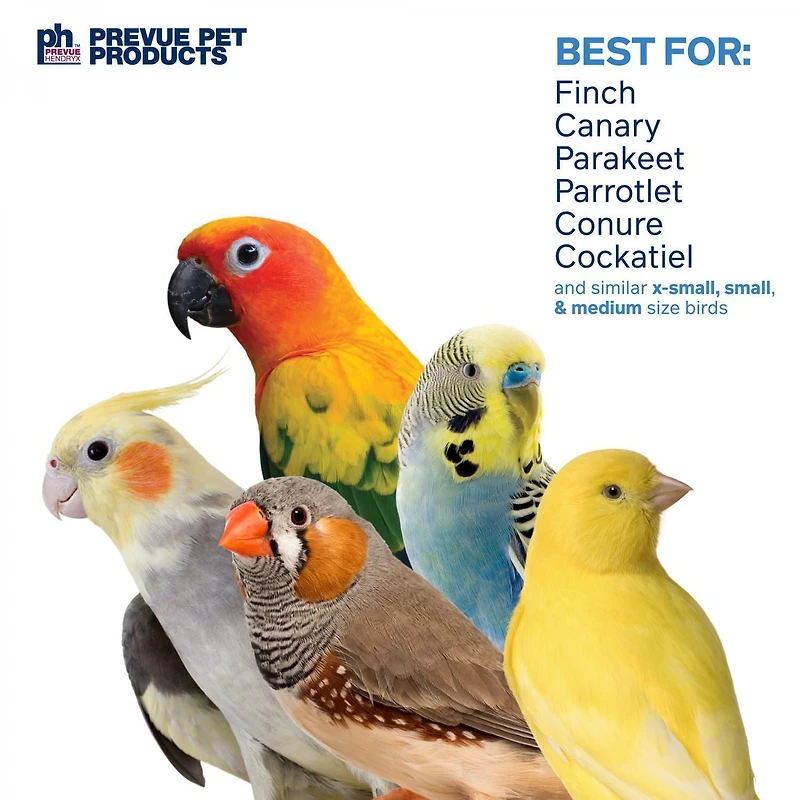 Prevue Paradise Swing Bird toy
