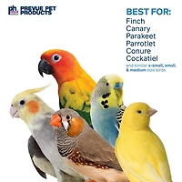 Prevue Paradise Swing Bird toy