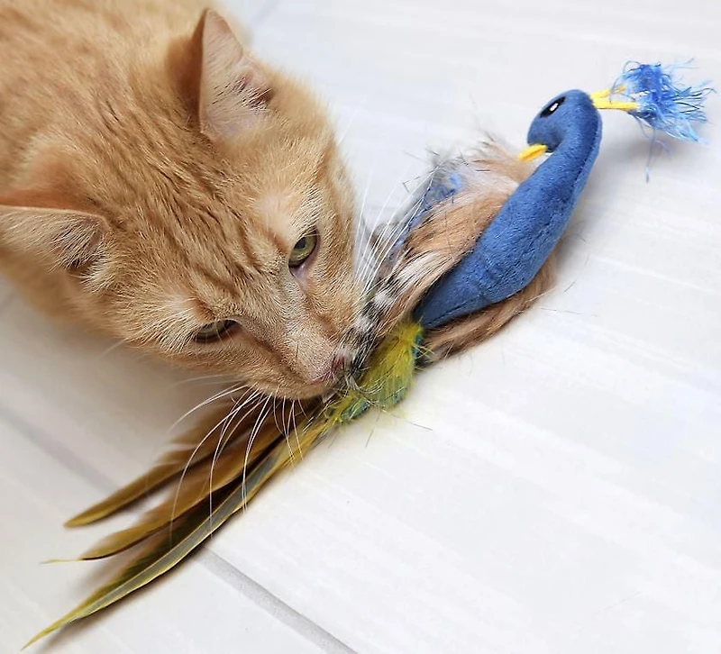 Pet Zone Pretty Peacock Catnip Filled Plush Cat Toy, Catnip Filled Toy