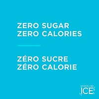 Sparkling Ice Peach Nectarine Flavoured Sparkling Water with Zero Sugar and Zero Calories, 503 ml (Pack of 12), 503 mL