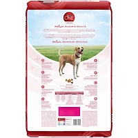 Purina ONE SmartBlend Digestive Health Formula Chicken, Dry Dog Food, 5.4-9.5 kg