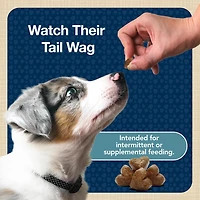 Blue Buffalo Bits Soft Dog Treats for Training, Turkey Recipe 4-oz bag