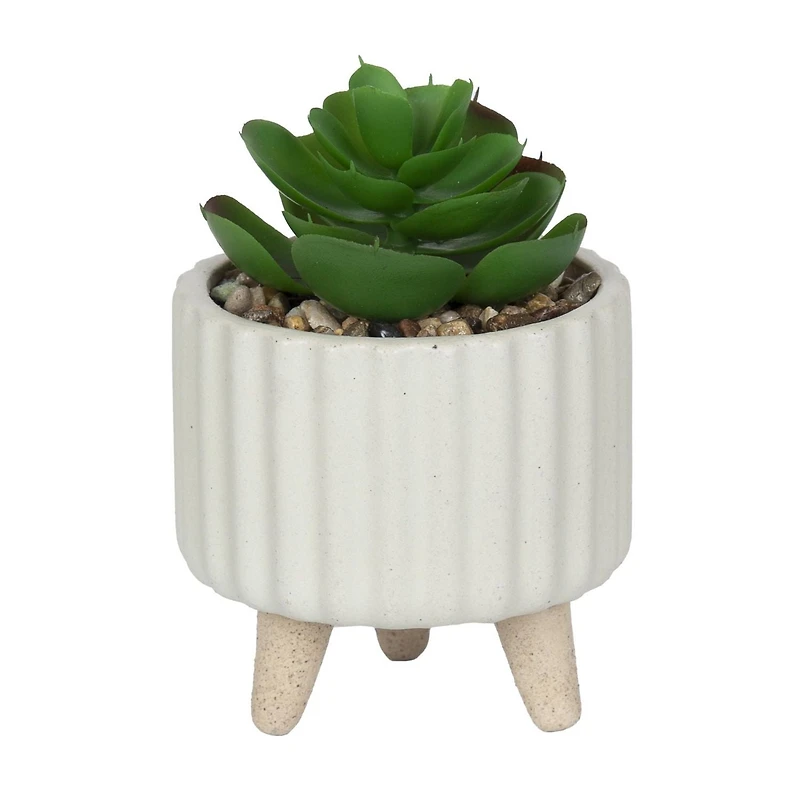 hometrends Cozby Faux Succulent in Cream Pot