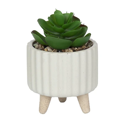 hometrends Cozby Faux Succulent in Cream Pot