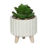 hometrends Cozby Faux Succulent in Cream Pot