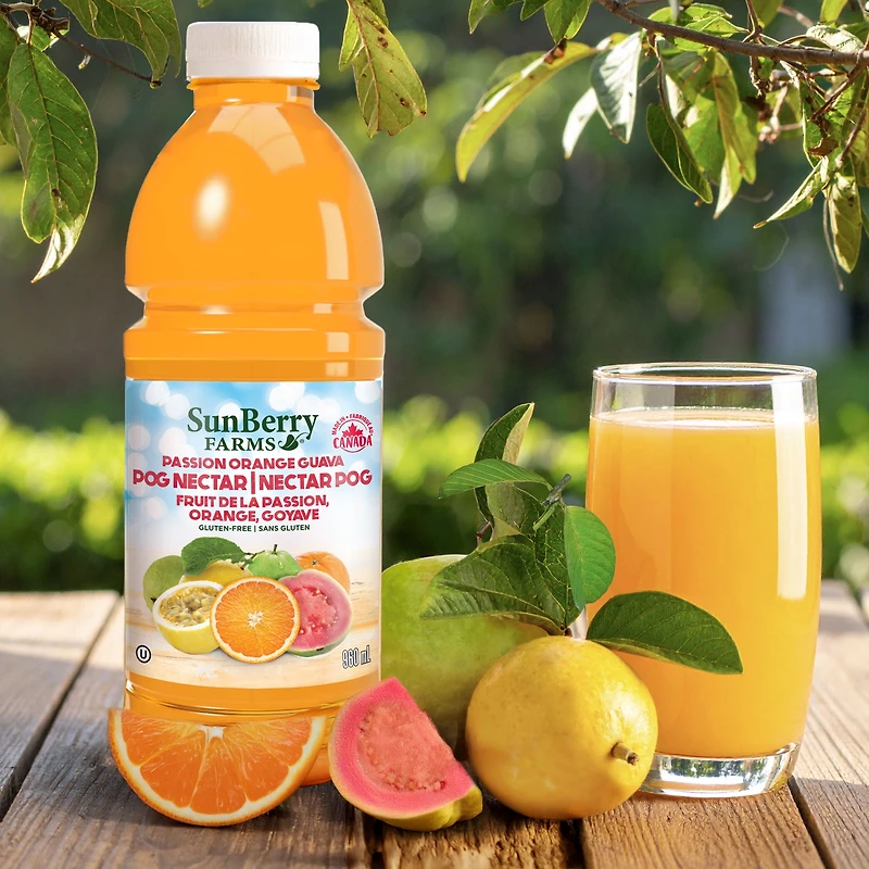 SunBerry Farms Passion Orange Guava Nectar, 960 ml, Volume/Quantity - 960ml/1