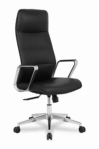 Chaise de bureau TygerClaw, 21" x 49,61", rembourré, noir