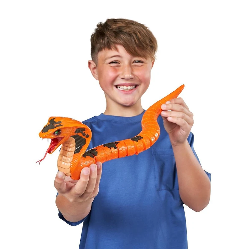 Robo Alive King Cobra by ZURU, Battery-Powered Robotic Moving Snake Toy, Realistic Snake Features, Ages 3+
