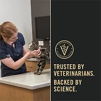 Purina Pro Plan Spécialisée Peaux et estomacs sensibles Dinde, Nourriture Sèche pour Chats 1.45 kg