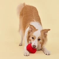Playology Pomme de pin grinçante Bœuf Jouet parfumé pour chien