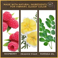 Burt’s Bees 100% Natural Glossy Lipstick - 1 Tube