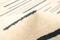 Tapis d'Interieur ECARPET Ray