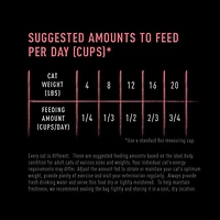 Crave Nourriture Sèche pour Chats d'Intérieur au Vrai Poulet & Saumon Riche en Protéines 4.5kg