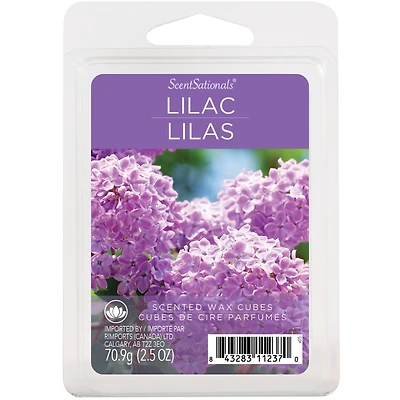 Cubes de cire parfumée ScentSationals - Lilas