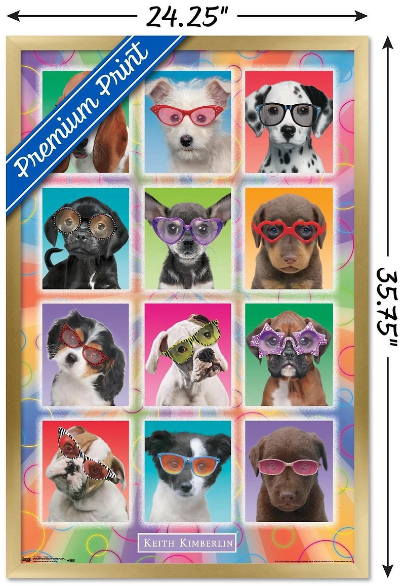 Keith Kimberlin - Puppies - Sunglasses Wall Poster