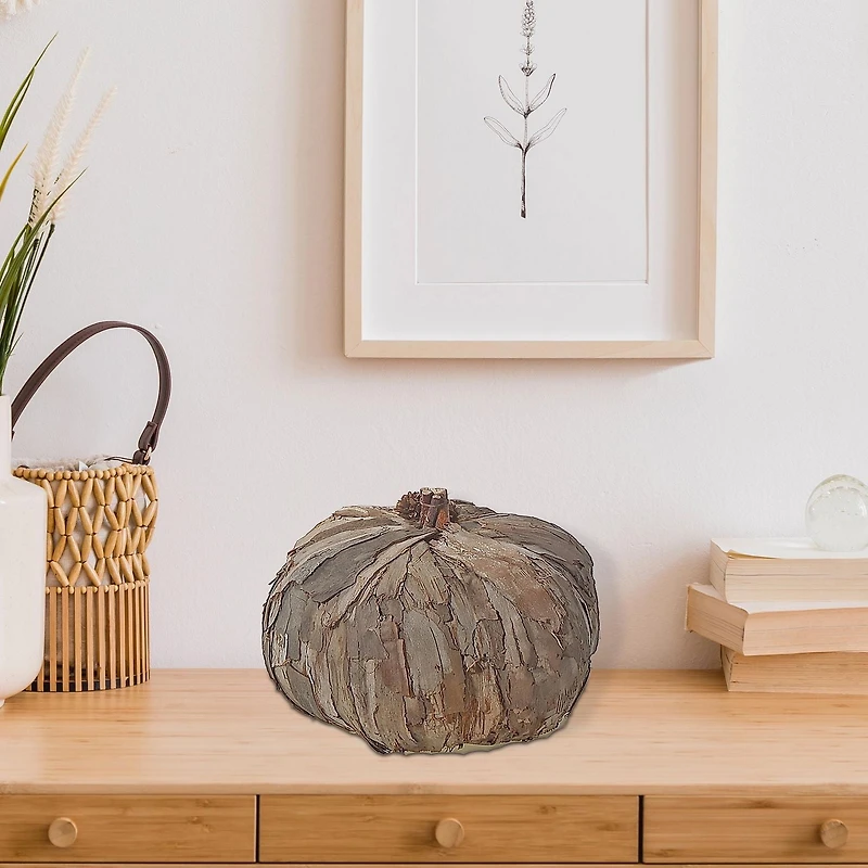 Citrouille D'Écorce D'Arbre Grande