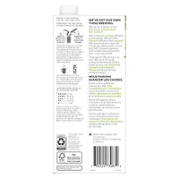 TAZO GRN MATCHA CONC - FRENCH TAZO MATCHA LATTE