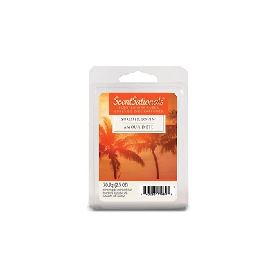 ScentSationals Scented Wax Cubes - Summer Lovin', 2.5 oz (70.9 g)