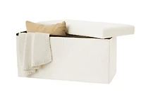 Mainstays Foldable Storage Chest