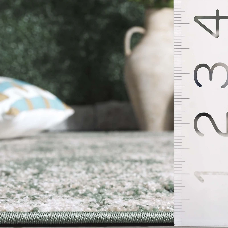 SAFAVIEH Cabana Selma Distressed Indoor/Outdoor Area Rug