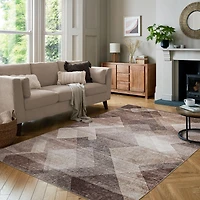 Rug Branch Emir Collection Traditional Geometric Water-Repellent Area Rug
