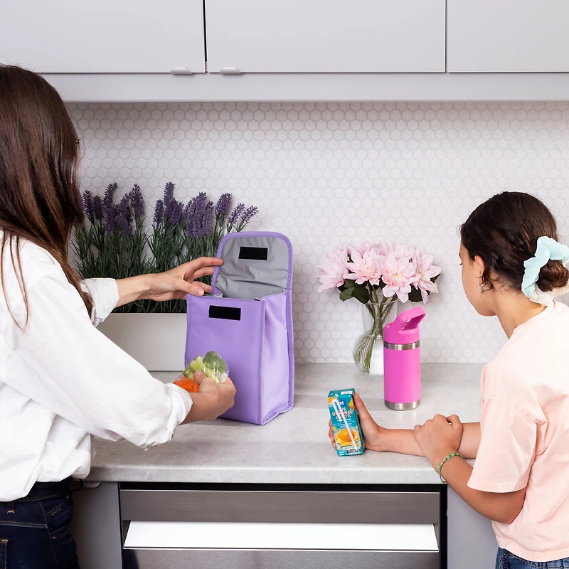 Assorted Foldable Insulated Lunch Bags for Kids, Lunch Box for School, School Lunch Bag