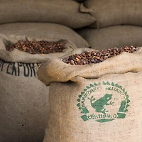 Crème glacée Magnum® Double chocolat noisette 3x90mL