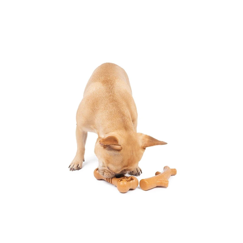 One Paw, Jouets à mâcher pour chien en fibre de bambou, lot de 2, taille moyenne Jouets à mâcher pour chien en fibre de bambou