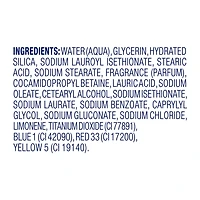 DV SCRB PPRMNT 298G - FRENCH