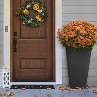 Tierra Verde Très grand pot carré classique effilé Sonata à réserve d'eau 18" L x 36" H - Noir, Intérieur/Extérieur