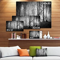 Designart Beautiful Forest Morning Panorama Canvas Wall Art