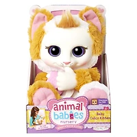 Peluche d'Animal Babies Nursery - chaton en calicot