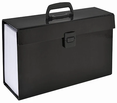 FHE Group Expanding File Case