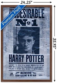 The Wizarding World: Harry Potter - Undesirable Wall Poster