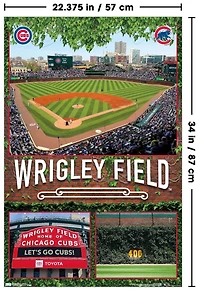 Pokémon - Fête d'anniversaire