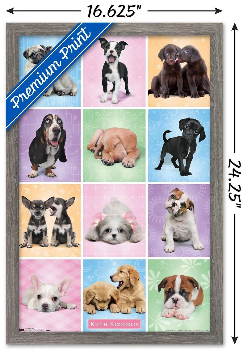 Keith Kimberlin - Puppies - Cuties Grid