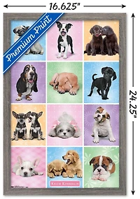 Keith Kimberlin - Puppies - Cuties Grid