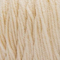 Bernat® Premium™ Yarn, Acrylic #4 Medium, 7oz/198g, 360 Yards